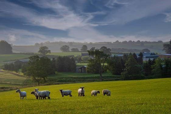 Вілла Hollybank Barn Дорчестер Екстер'єр фото